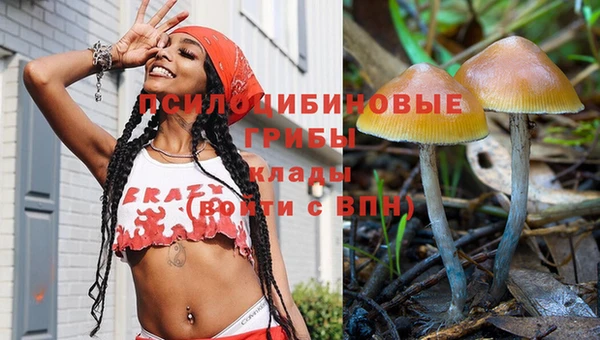 mdma Бородино