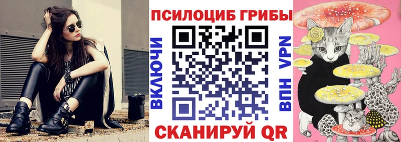 ссылка на мегу ТОР  Волжский  Псилоцибиновые грибы Psilocybe 